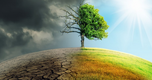 Visuel loi climat
